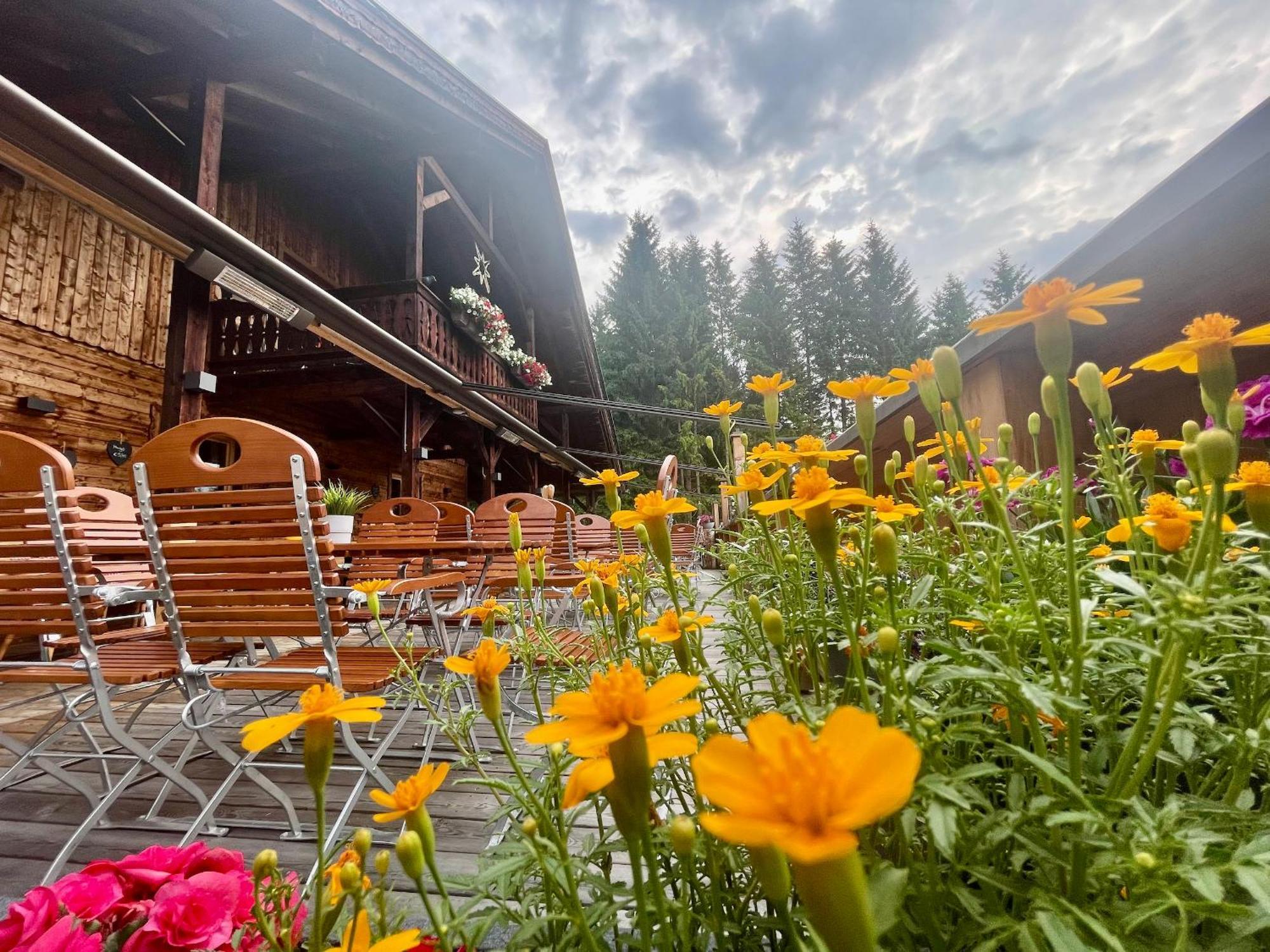 Sweet Cherry - Boutique & Guesthouse Tyrol Innsbruck Extérieur photo